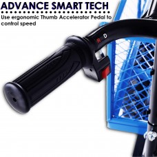 Landworks Utility Cart Hand Truck Power Wagon Super Duty Electric 48V DC 500W AGM Battery 500LBS & 1000LBS+ Load/Hauling Cap Wheelbarrow Barrel Dump w/All Purpose Modular Cargo Bed