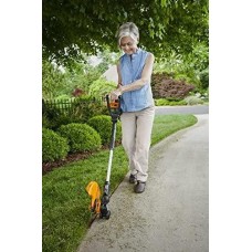 WORX WG951.2 GT 2.0 & AIR 20V PowerShare 10