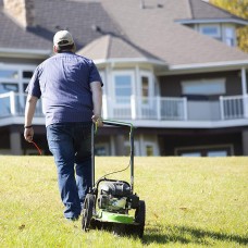 Tazz 35258 Viper Walk Behind String Mower 150CC, Green